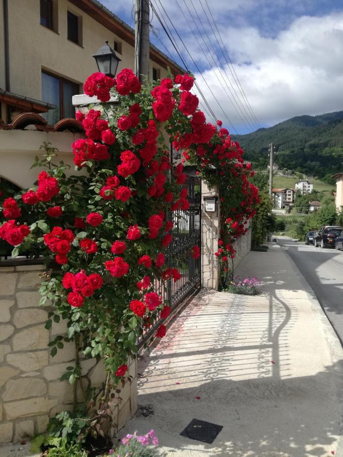 Guest House Benita Devin Exterior foto