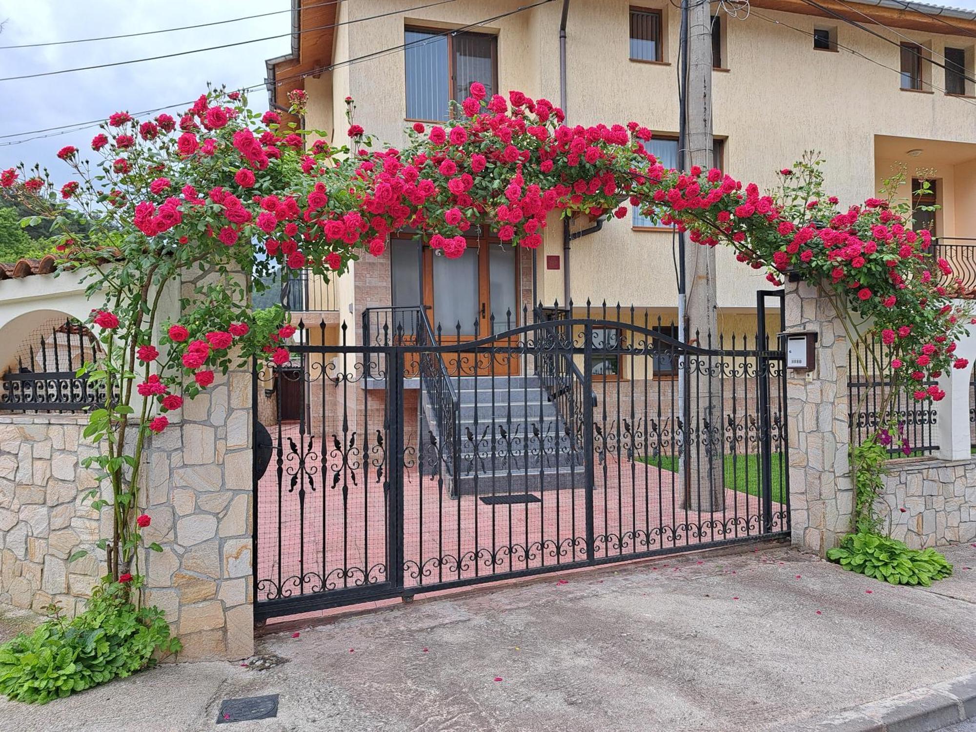 Guest House Benita Devin Exterior foto