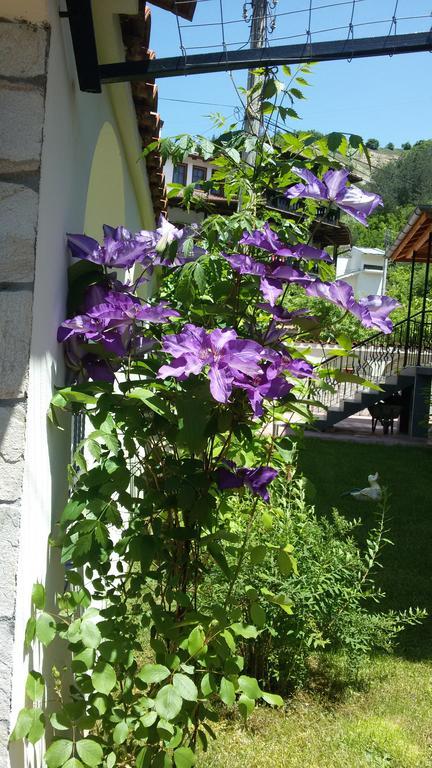 Guest House Benita Devin Exterior foto